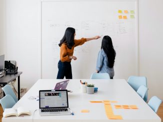 formation professionelle