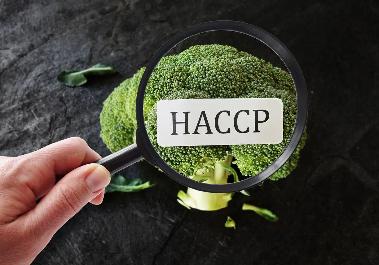 réglementation HACCP restaurateurs