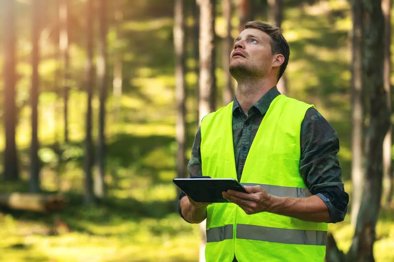 formation métiers environnement